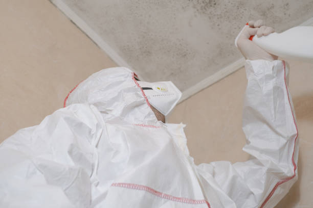 Best Localized Mold Remediation (e.g., coastal areas, humid climates) in Stockbridge, MI