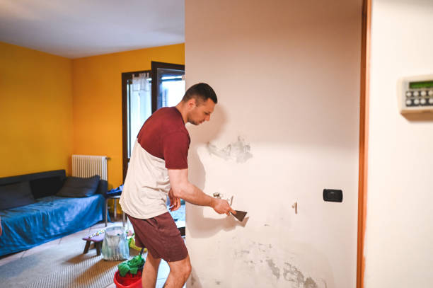 Best Residential Mold Remediation in Stockbridge, MI